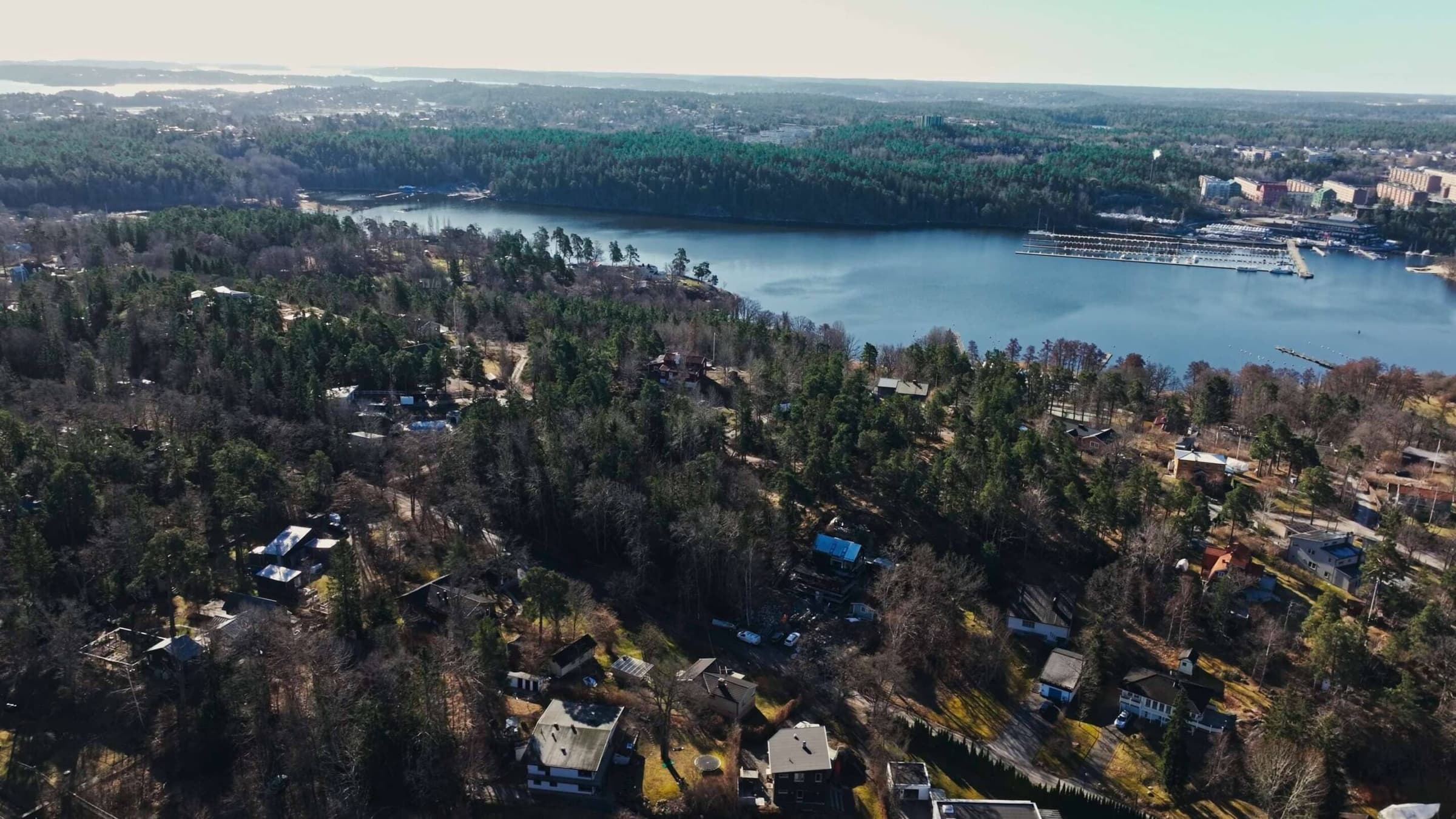 Drönarbild skog