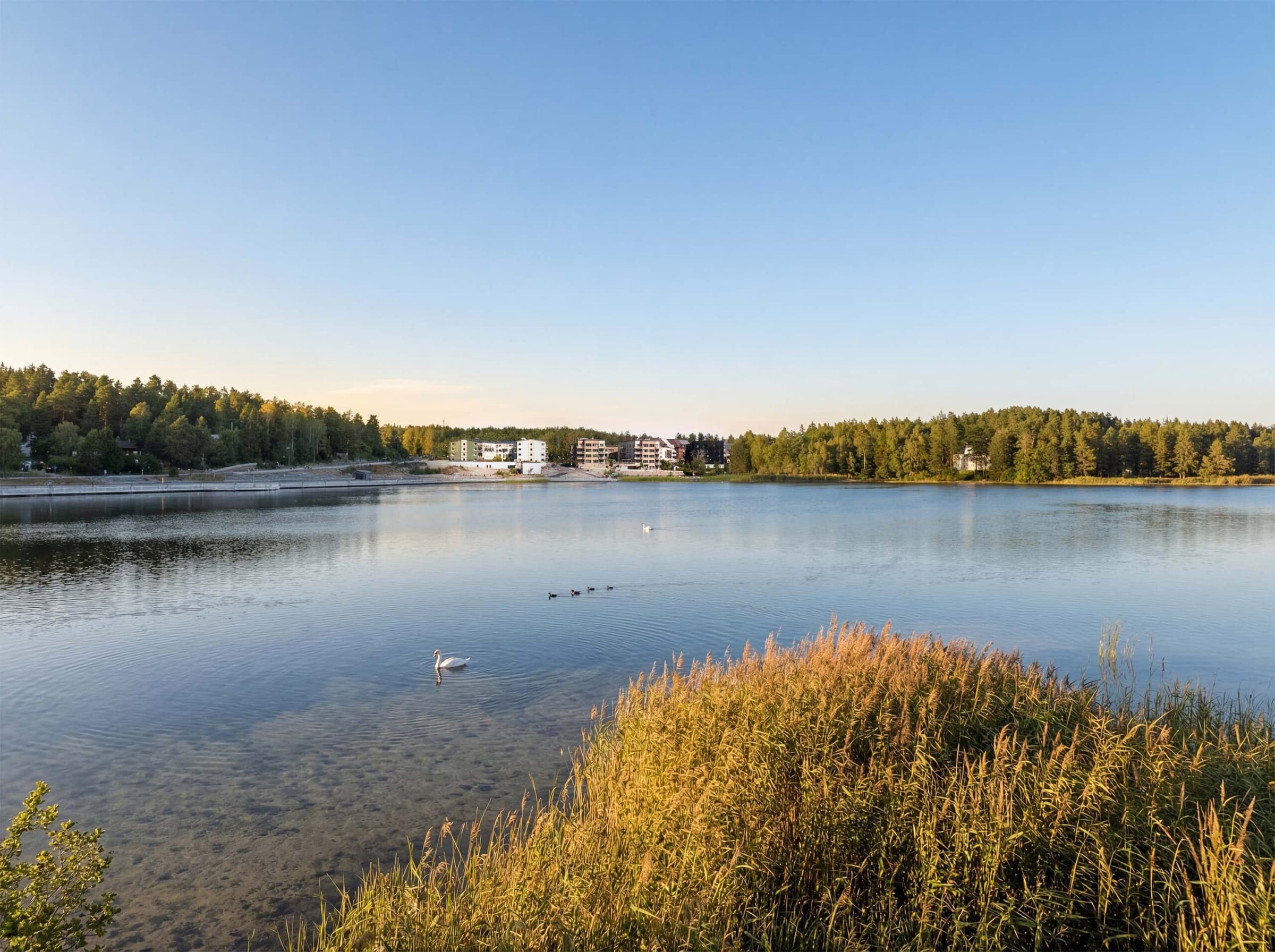 Utsikt över Väsjön