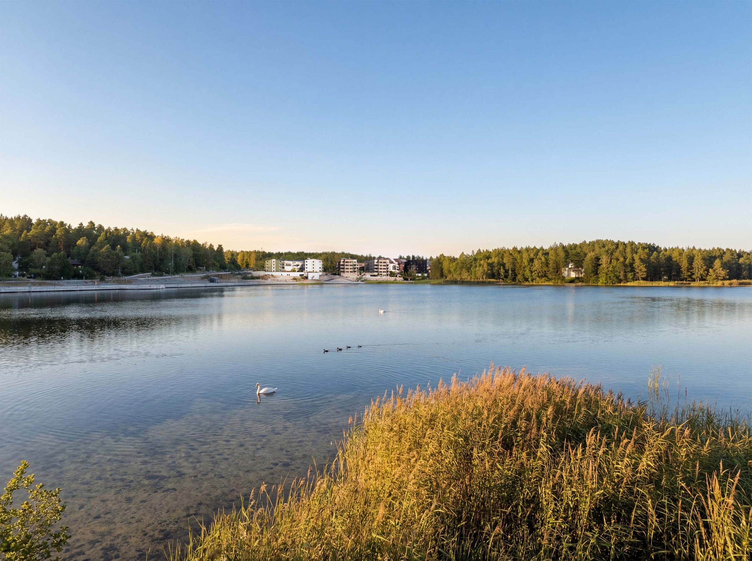 Utsikt över Väsjön