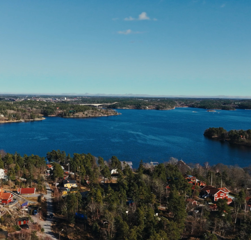 Sjövyn