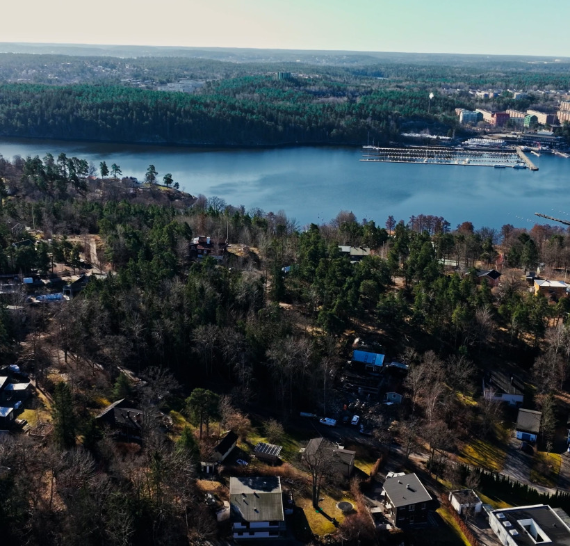 Sjövyn