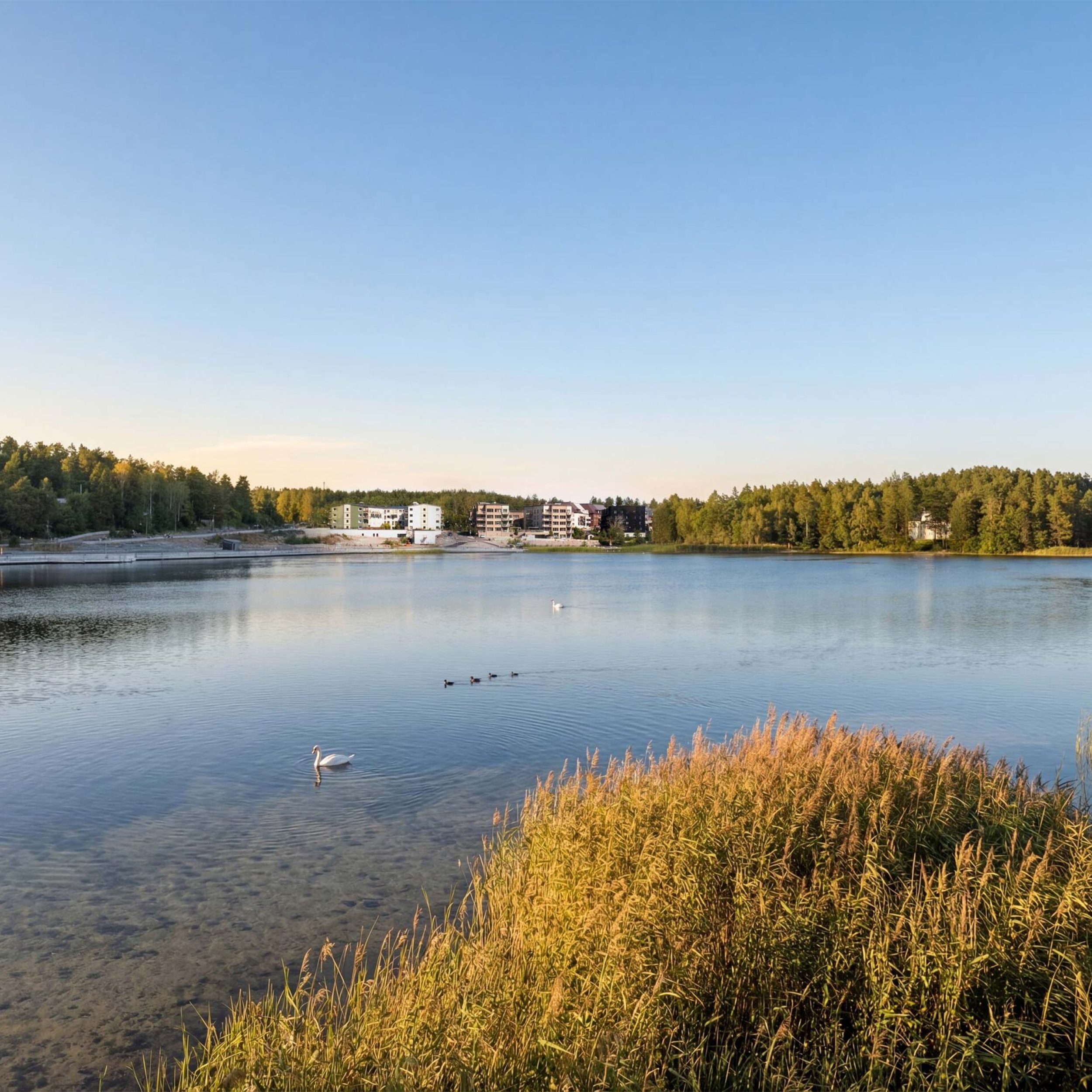 Väsjöbacken Utsikt